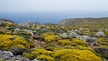 248_Kreta Wschodnia